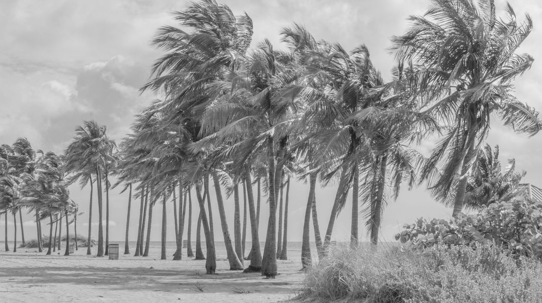 Miami II