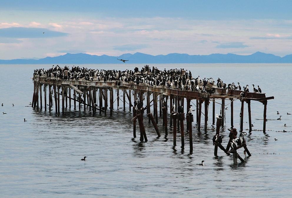 Estrecho de Magallanes