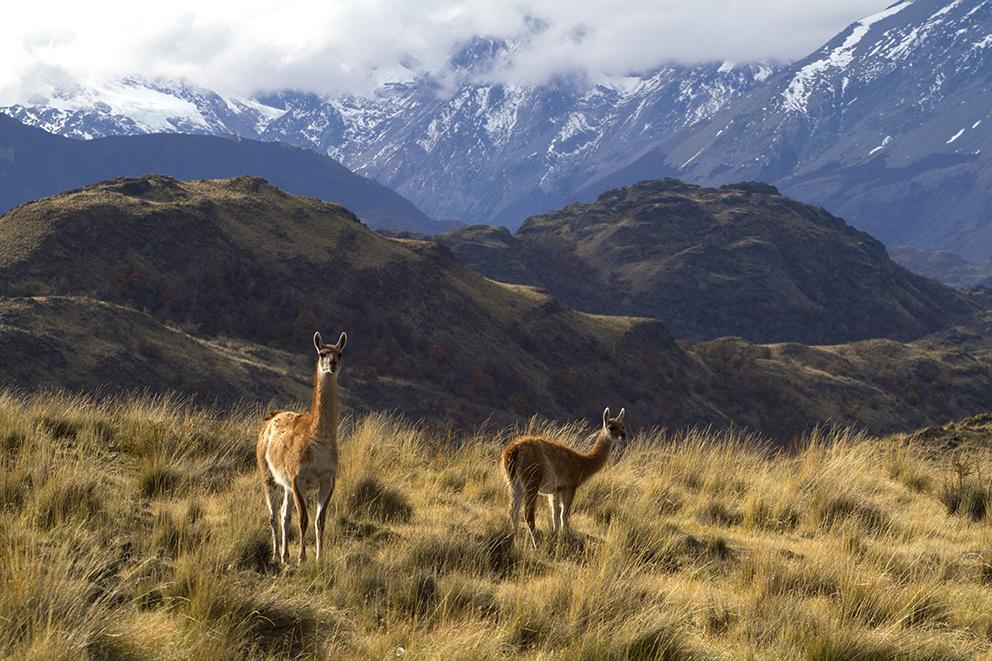 Parque Patagonia