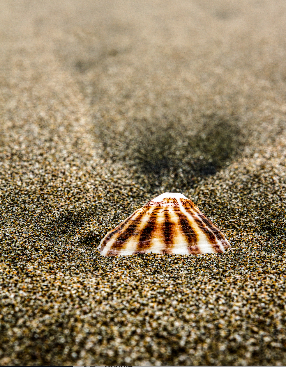 Playa 4
