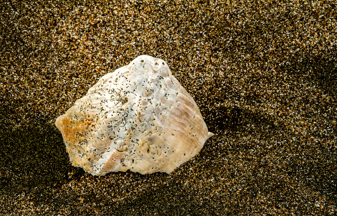 Playa 2