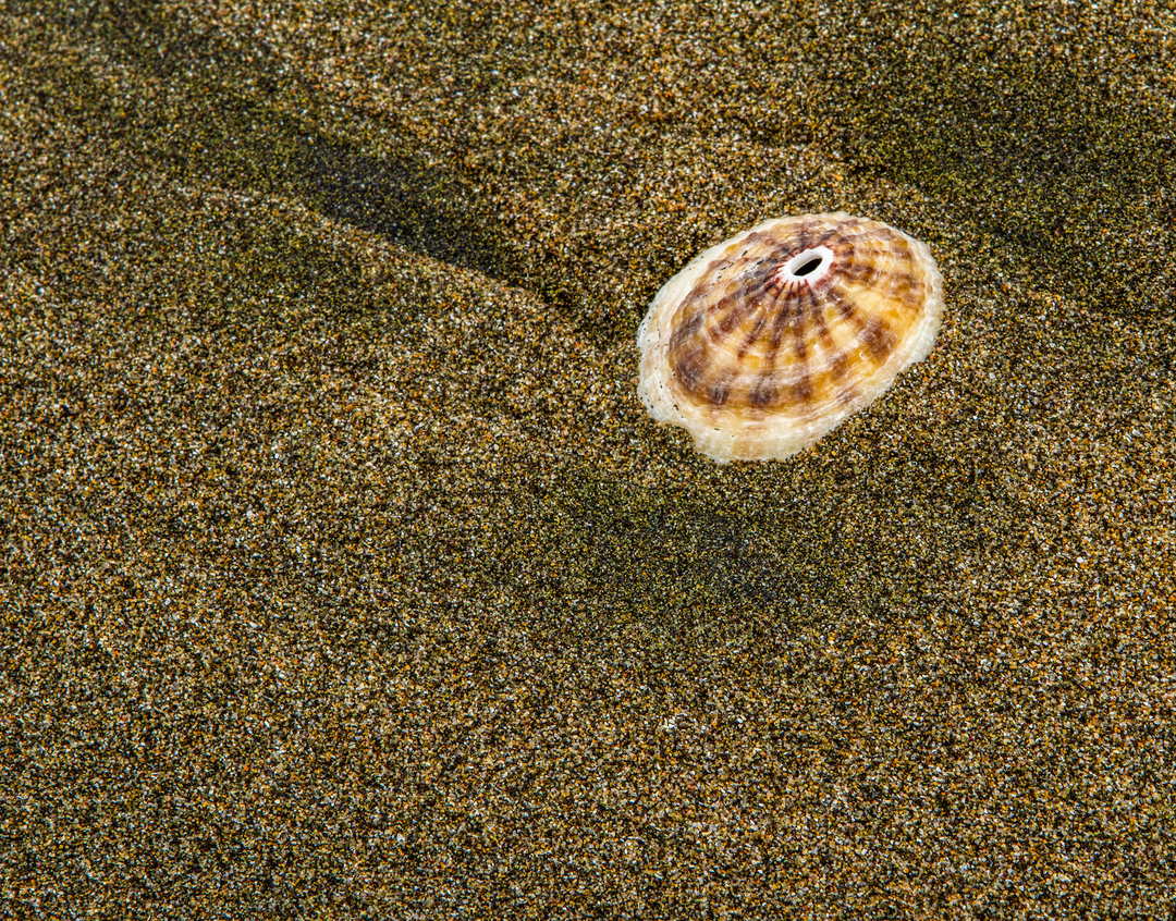 Playa 1