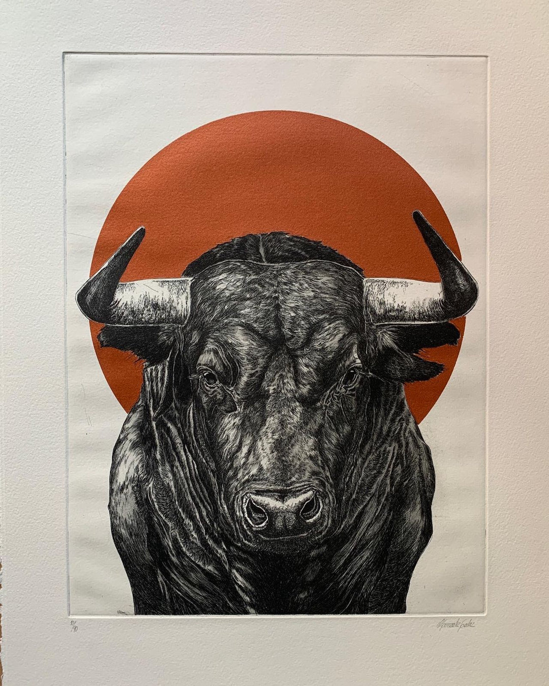 Toro