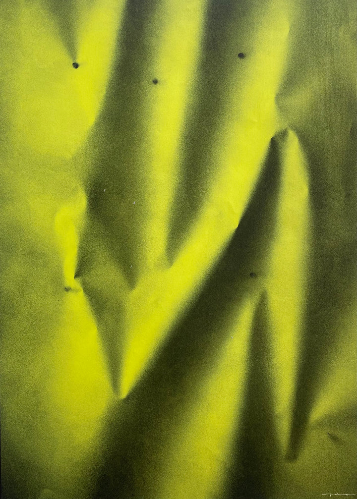 Nature Spring - Tola Navarro