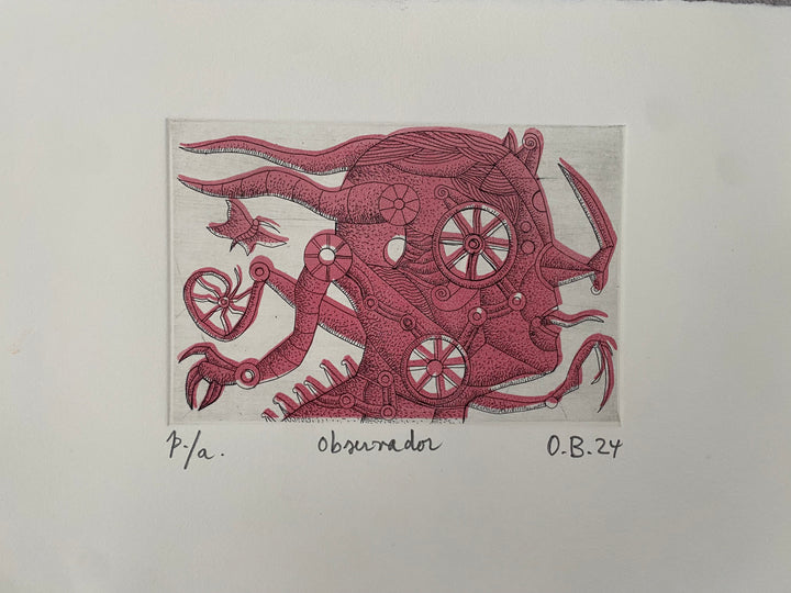 Observador