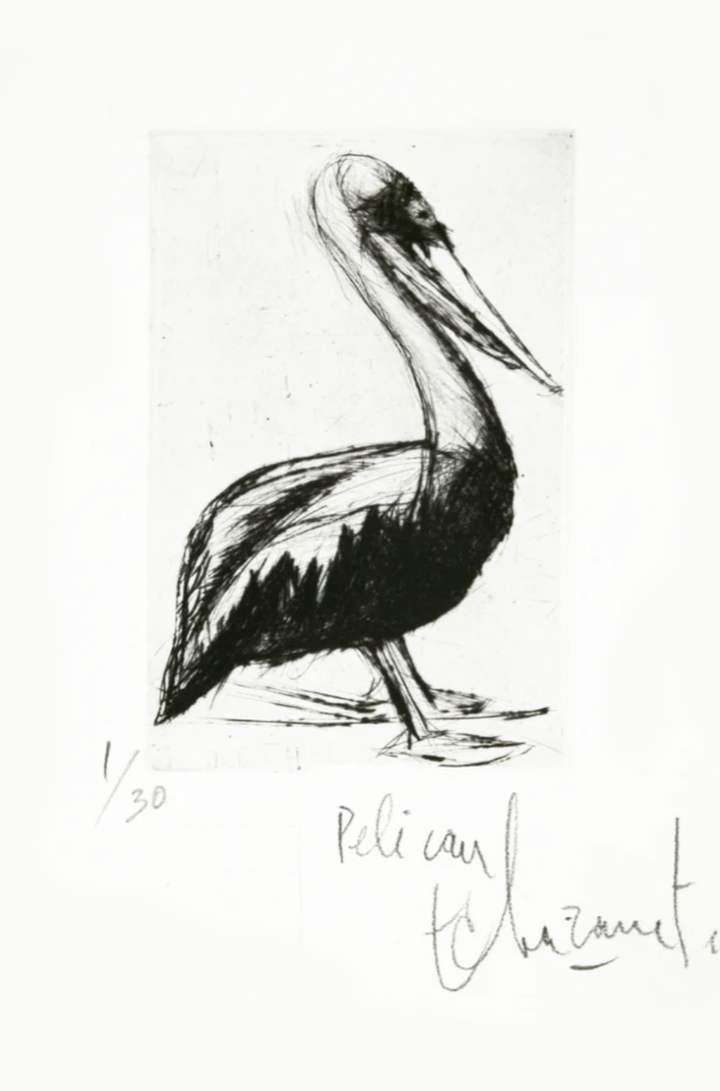 Le pelican
