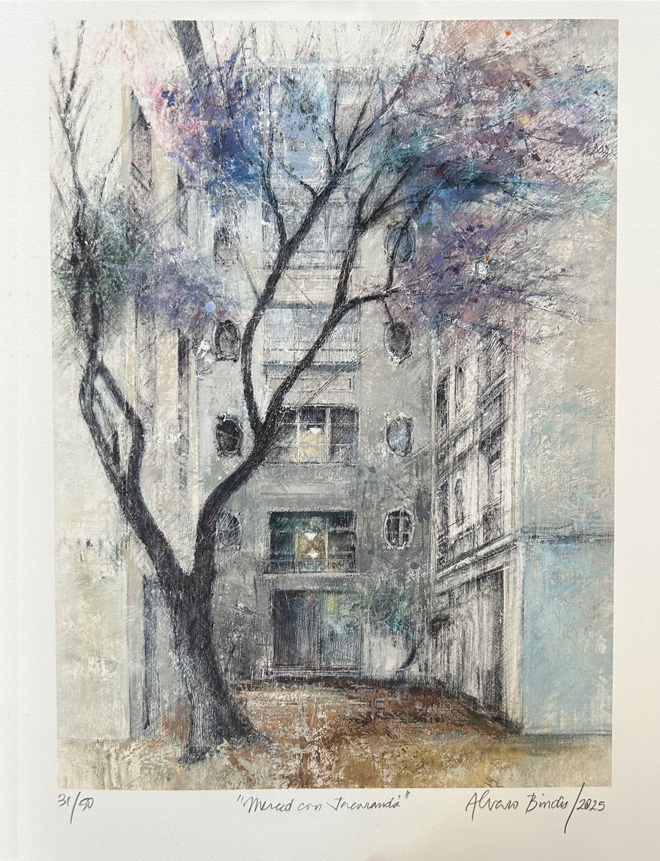 Merced con Jacarandá- Álvaro Bindis