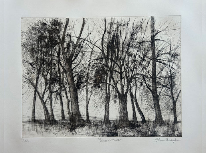 Amantes del Forestal