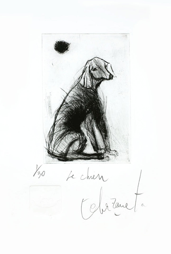 Alfredo Echazarreta - Le chien
