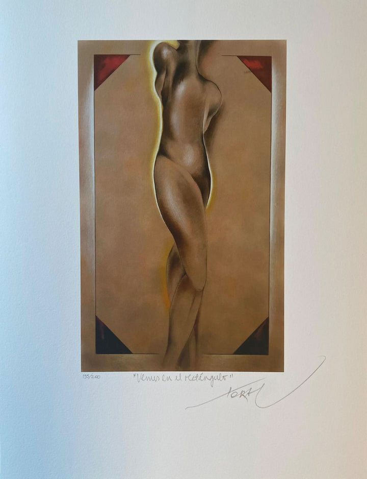 Mario Toral - Venus en el rectángulos