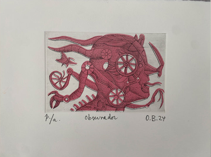 Observador