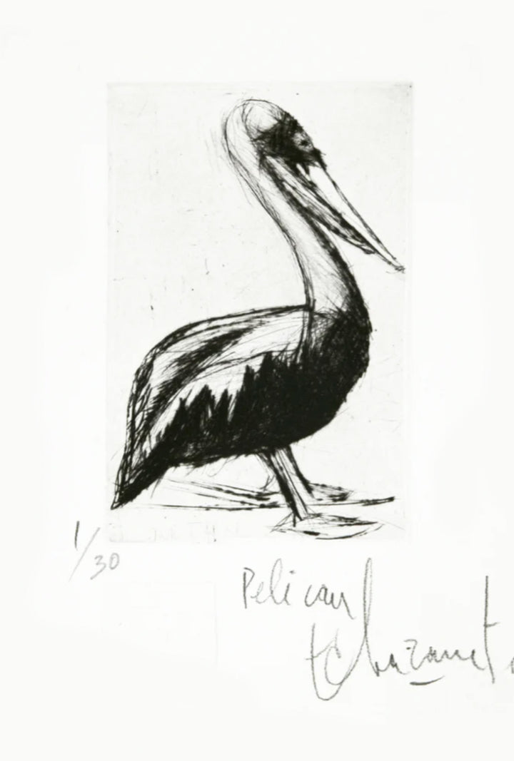 Le pelican